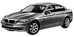 BMW F10 P366E Fault Code